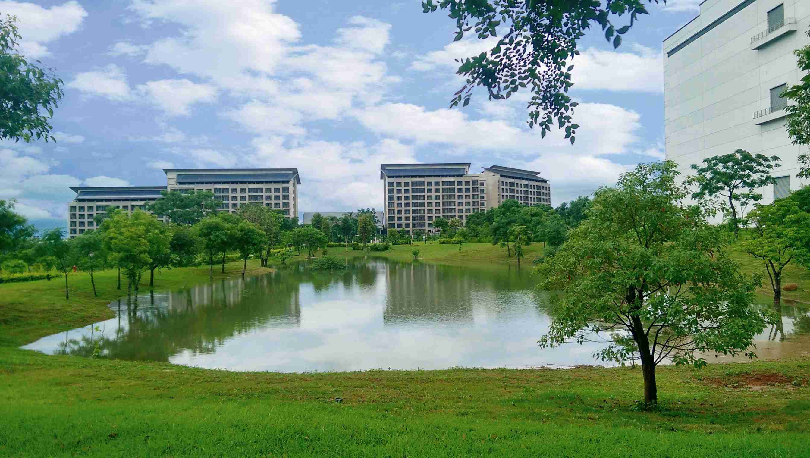 Wepay响应国际倡议生物多样性趋势，，首次发布TNFD自然相关财务揭露报告书，，，擘划及开展Wepay生物多样性政策之承诺，，，逐步迈向与自然和谐共生